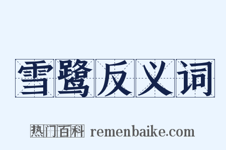 雪鹭反义词是什么意思的图片
